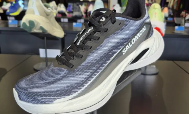 SALOMON SPECTUR 3 (180€)